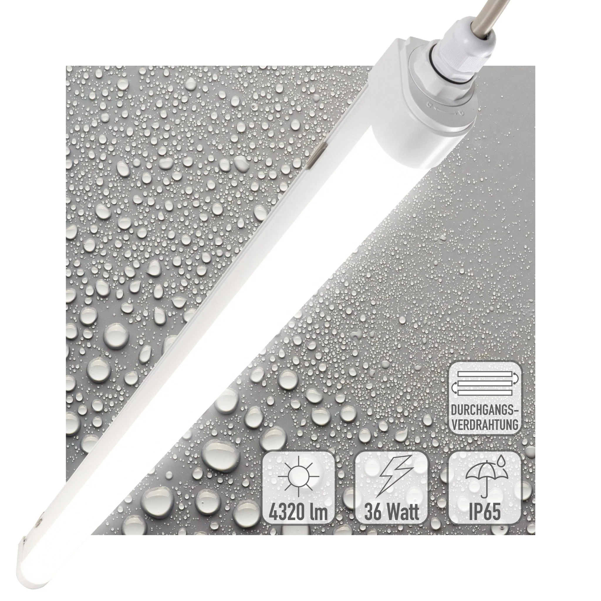 LED's Light LED TL lamp compleet - 36W, 120cm, 4320lm 4000K - IP65 IK08 - Koppelbaar - Image 13