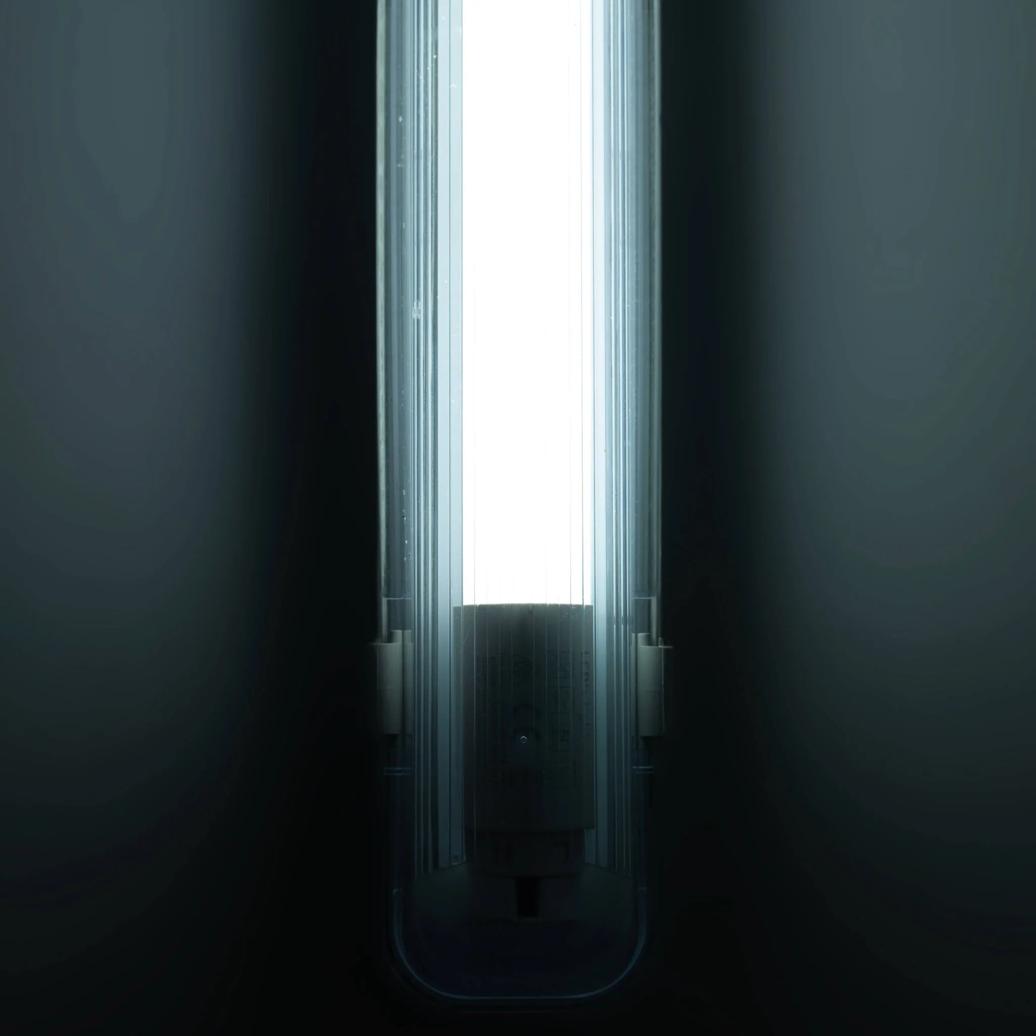LED's Light Universele TL lamp LED 60 cm met starter - Koud wit licht (6500K) - 900 lm - Image 2